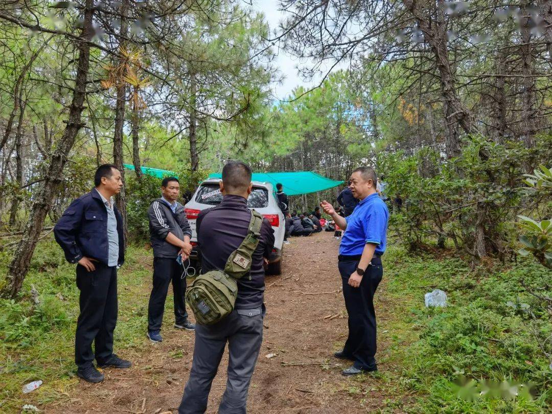 洱源警方捣毁一个野外流动赌博窝点,抓获涉赌人员41人_活动
