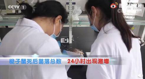 网友|死蟹到底能不能吃？别吃错了！