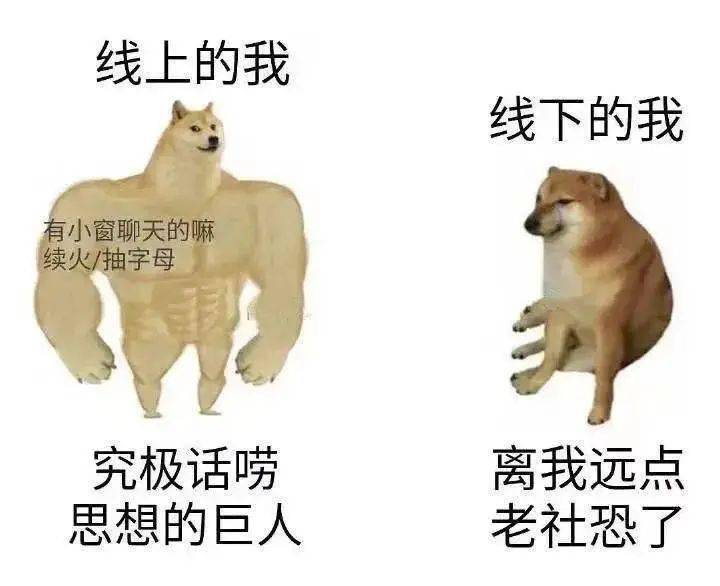 156b6274d55841d99eb8856b8adf81a7.jpeg