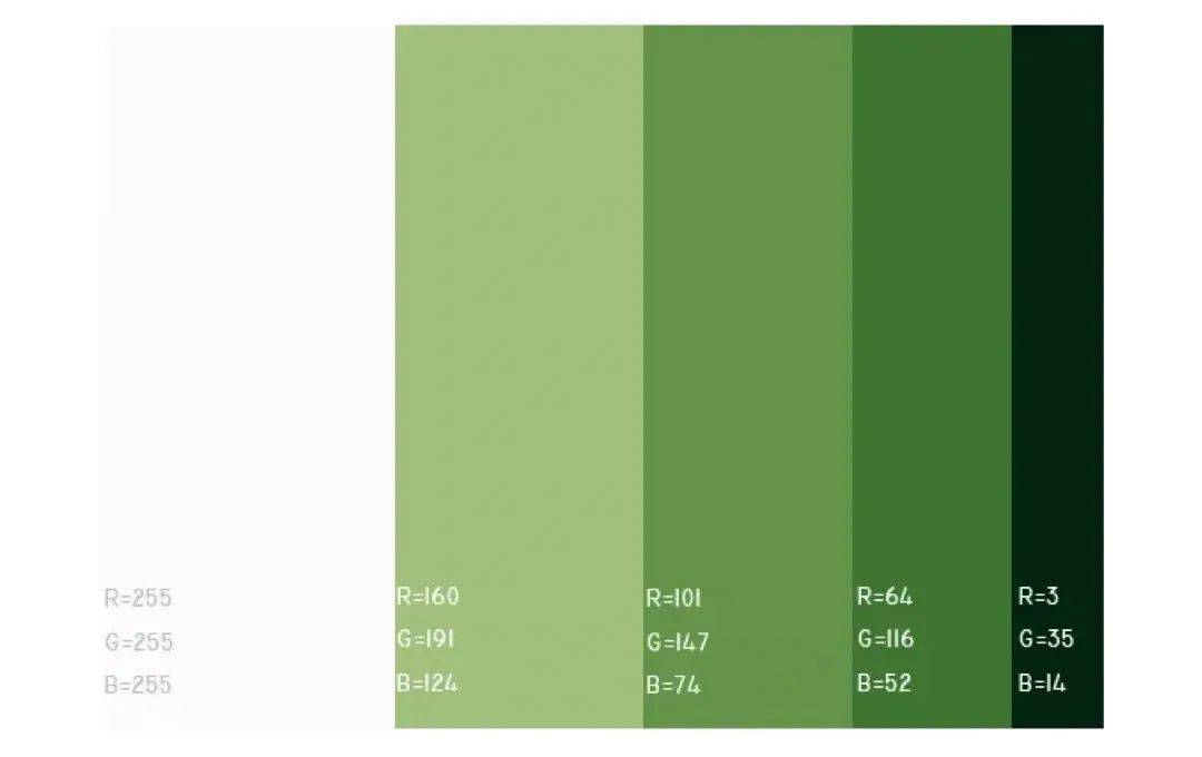 pantone2022春夏流行色彩趋势公开纽约时装周设计师已经用上了