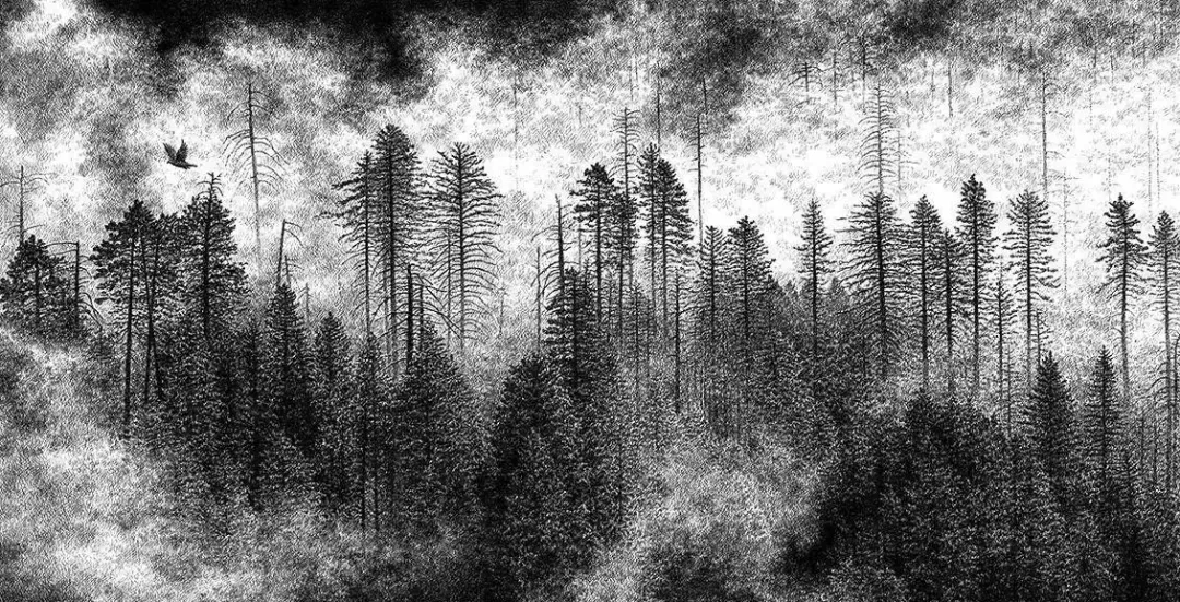 极品六大钢笔画细腻的线条塑造我是一张张跪着看完太厉害了