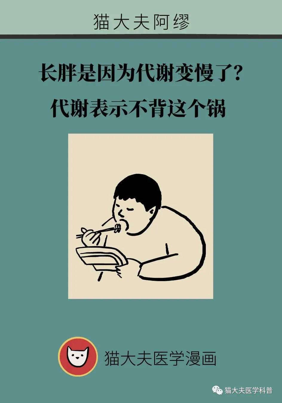 代谢|长胖是因为代谢变慢了？代谢表示不背这个锅