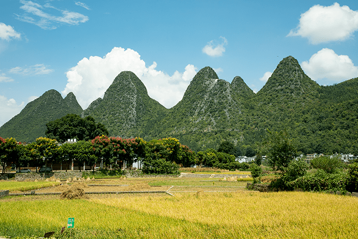 秋日田园 万峰林处处风景如画