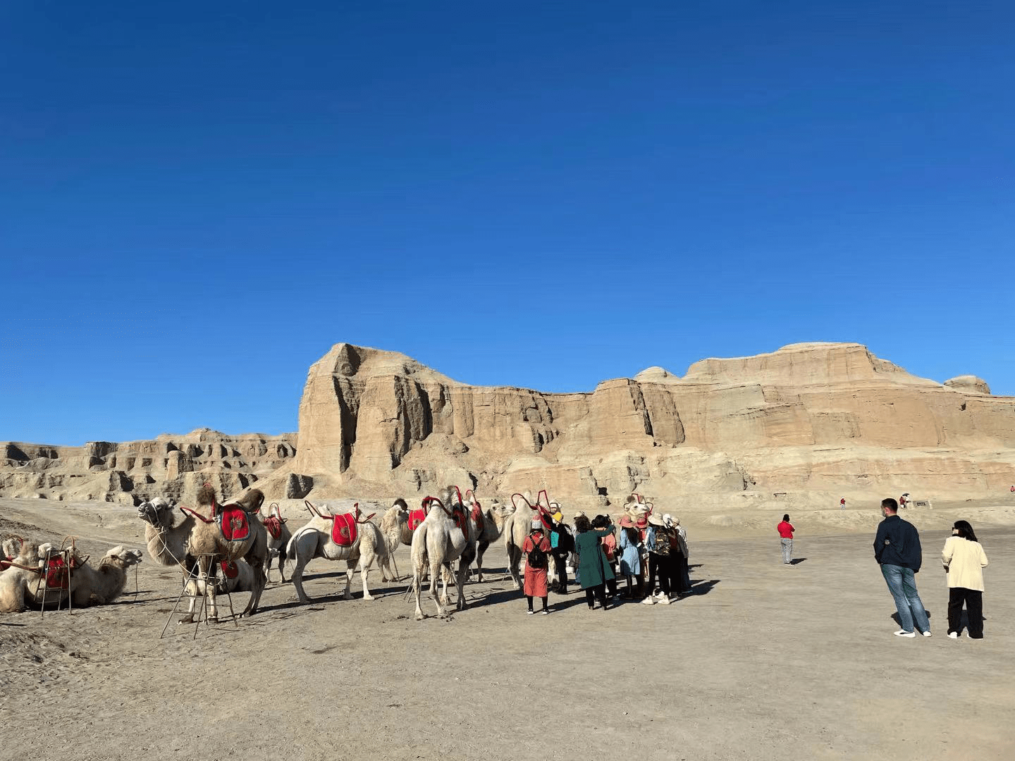 孟庆川|乌尔禾：乡村旅游照亮“共富路”