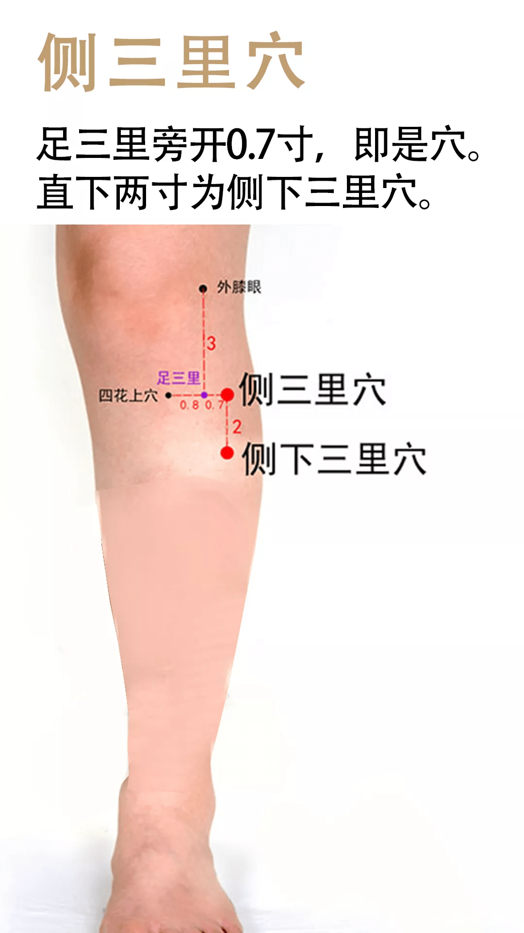 牙痛艾灸哪个部位图片图片