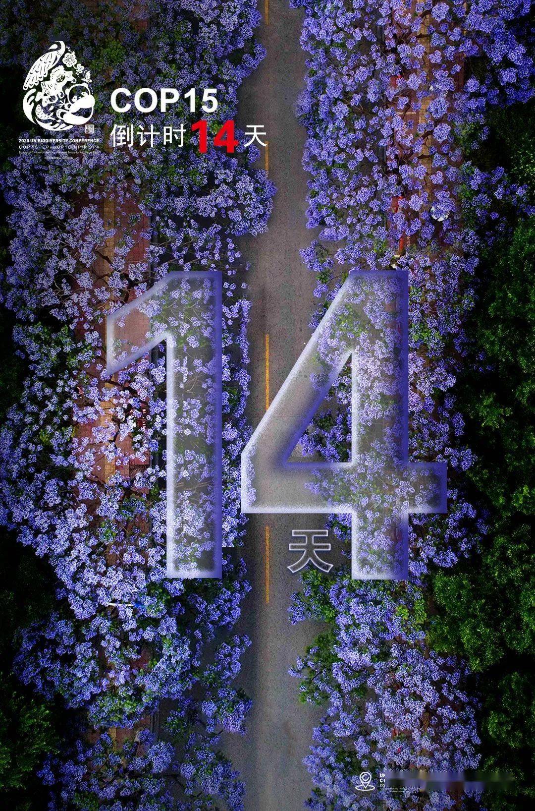 科技风采|cop15倒计时14天!