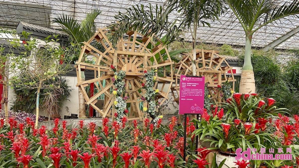 据了解,本届花博会将于2021年9月29日至10月7日,在中国青州花卉中心