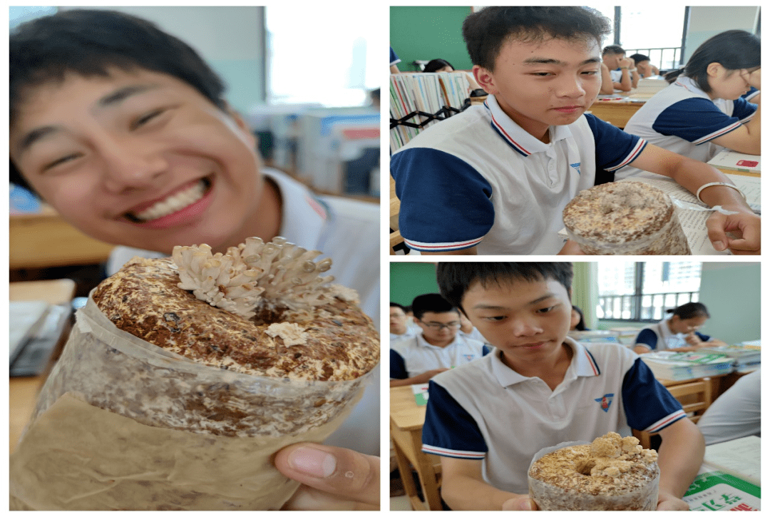 探秘蘑菇的生长过程——桂林市中山中学高一年级学生开展蘑菇种植生物