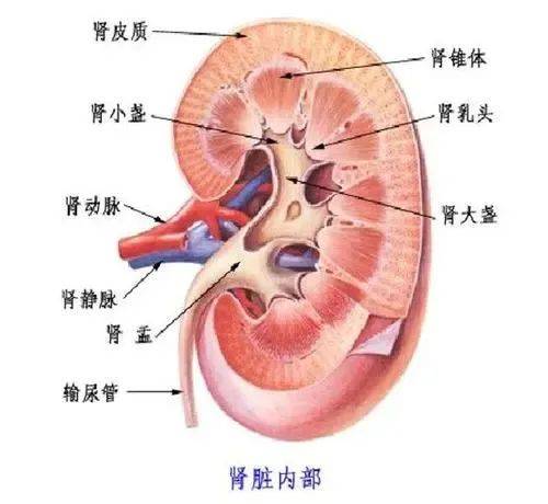 恶性肿瘤|教你如何看懂体检报告