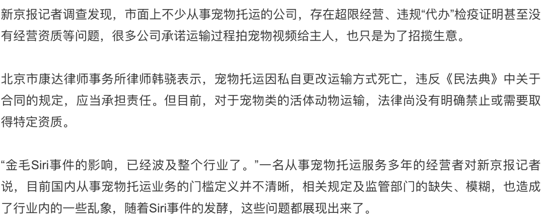 宠物被毒打、虐杀，这是她今年第8次上热搜求救