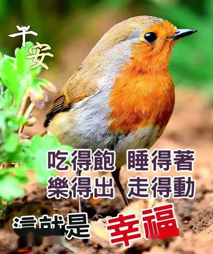 9月29日早上好祝福圖片表情祝福語最美早安問候表情圖片帶字精選