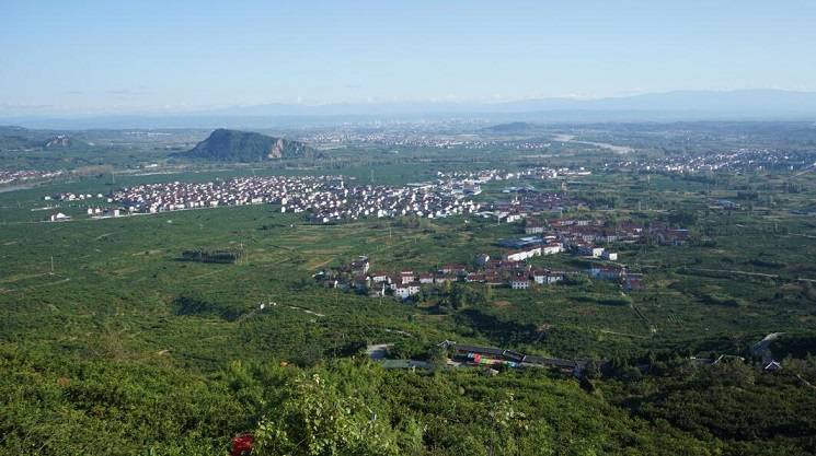 鱼米之乡文川镇打造特色产业助力乡村振兴