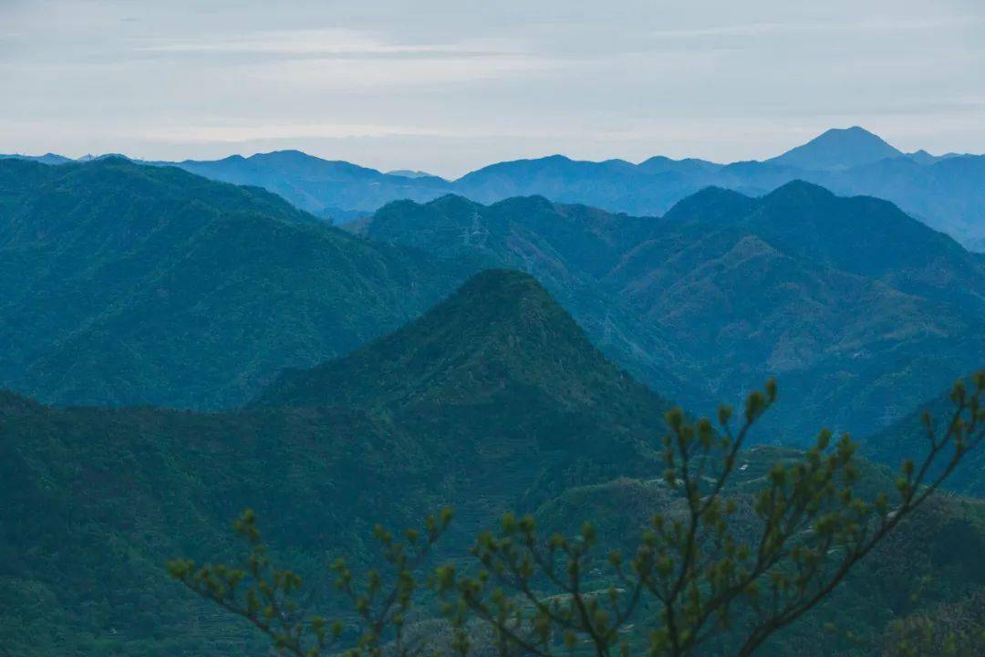 素喜禅师图片