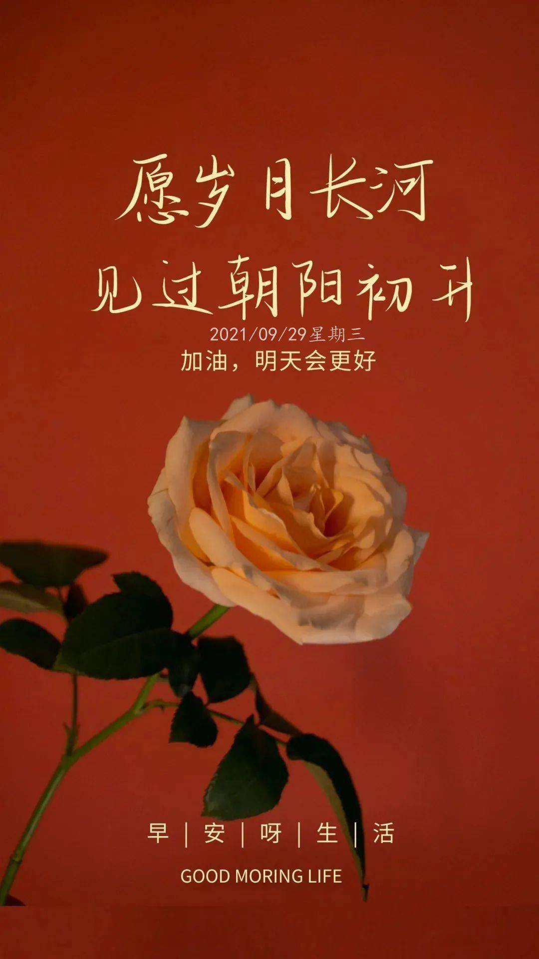 9月29日早安心语励志正能量阳光句子励志早安正能量阳光图片