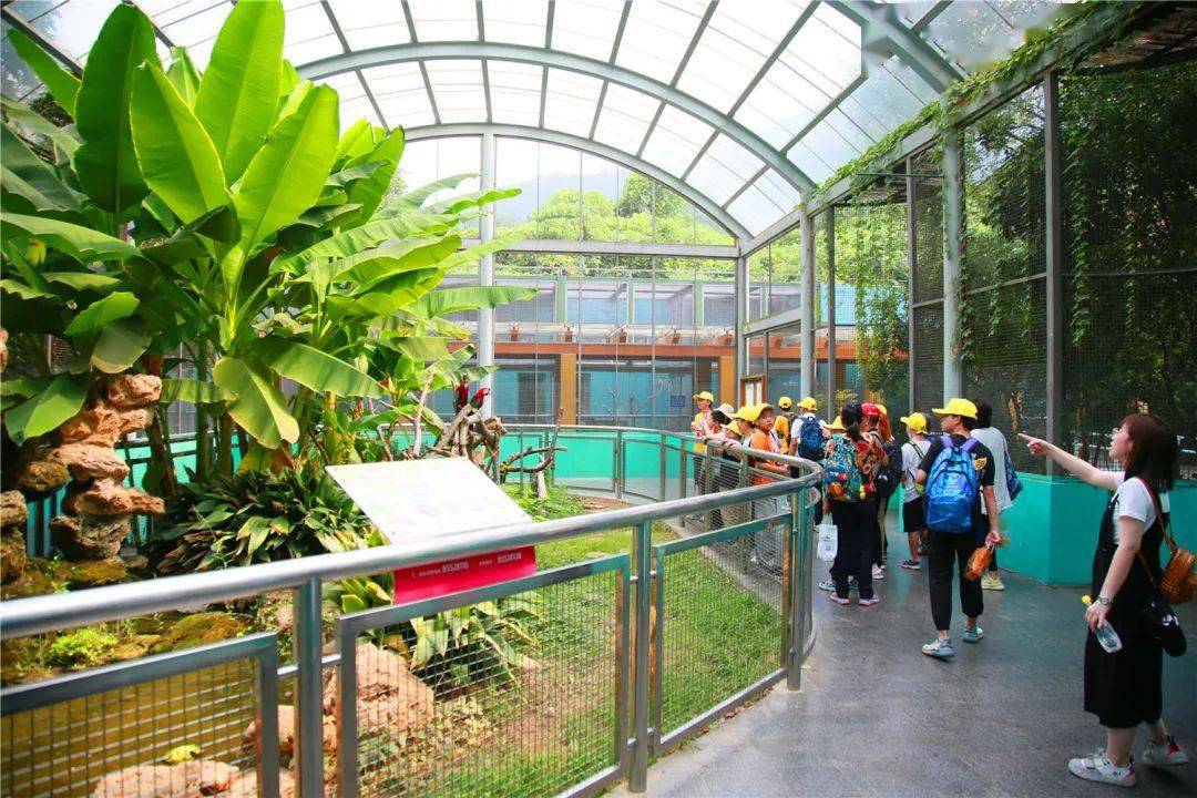 阿熊乐园一岁啦快来秋趣动物园