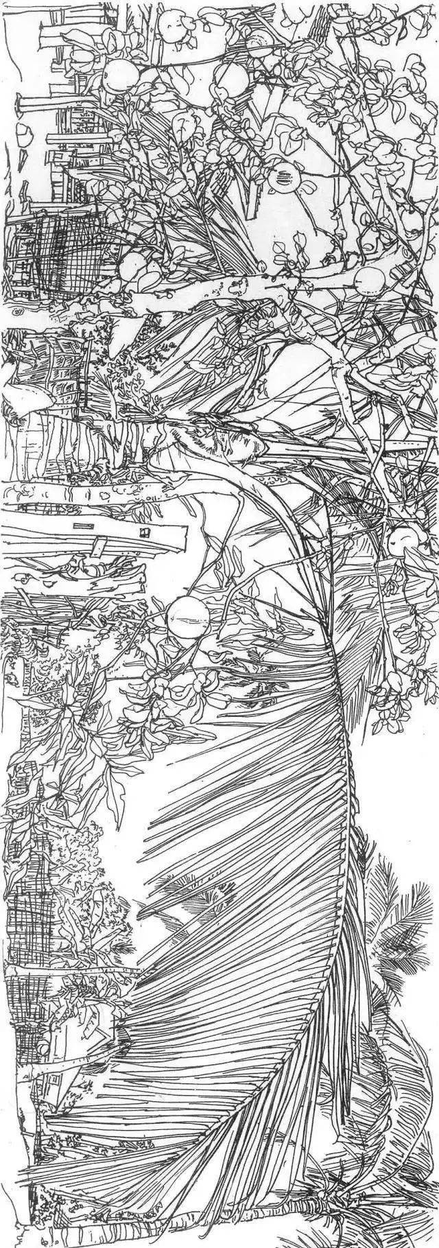 中央美术学院教授袁运生的白描作品