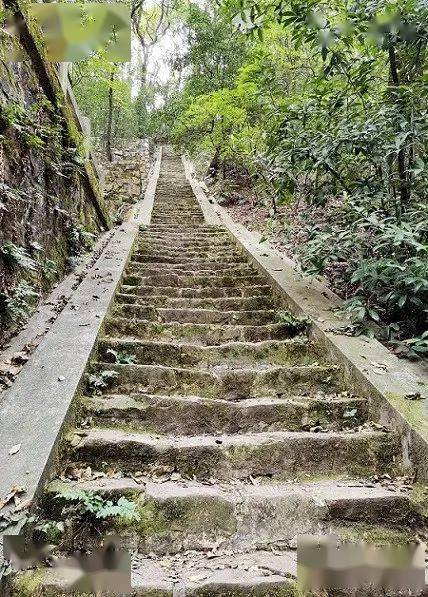 旅游独上岳麓山