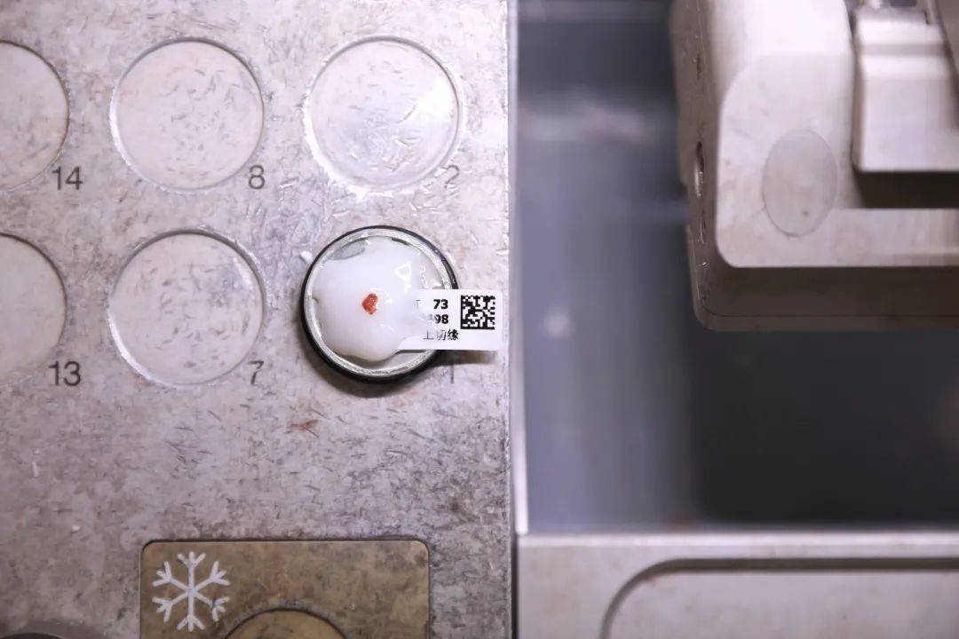 93ecc482762043be85ad6c0dec63d7fc.jpeg
