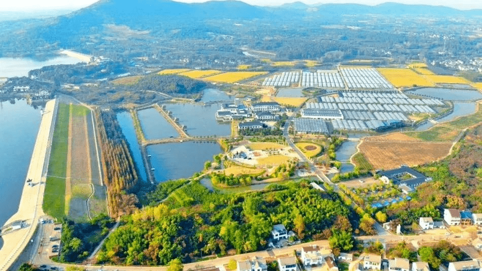 江宁大塘金香草谷→苏家文创小镇→龙乡双范→黄龙岘茶文化村→晏湖