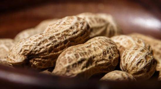 范志红|每天几粒花生能帮助预防中风？赶紧告诉爸妈