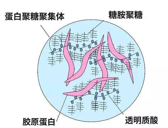 熨斗神仙价！99元抢欧莱雅紫熨斗眼霜“正装”！4 周淡化眼纹，巨强修护力，全脸都能用！