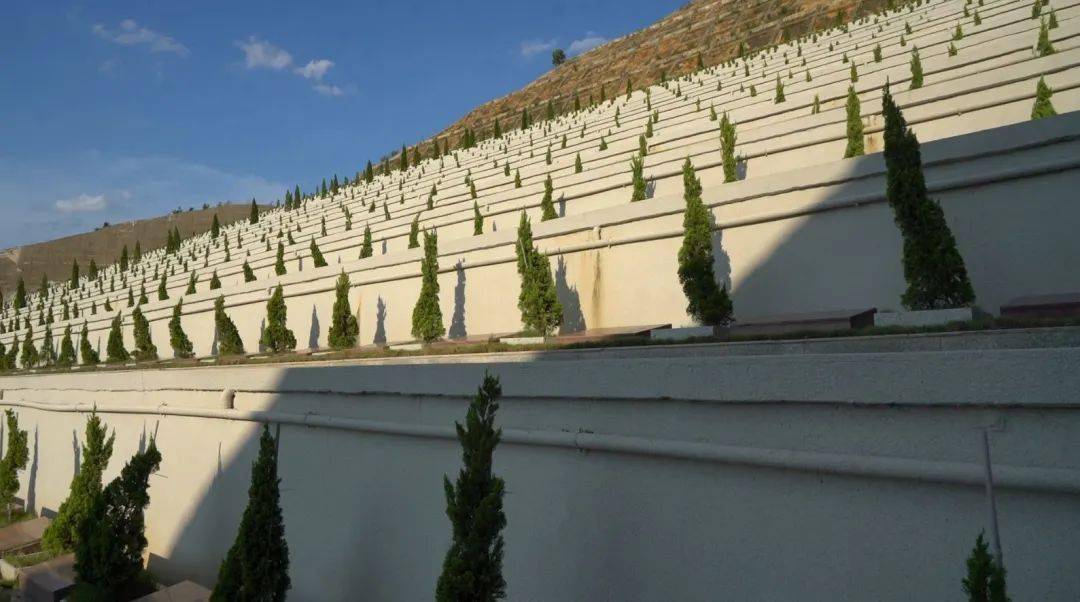 五华大量老照片曝光全是美好回忆