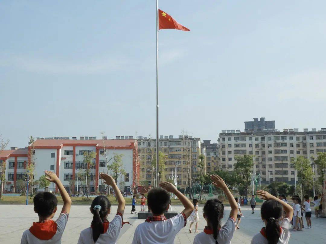 小学生敬礼图片背面图片