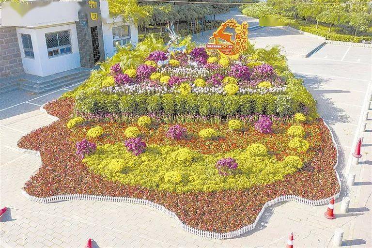 俯瞰动物园前的花坛造型.李渤 摄