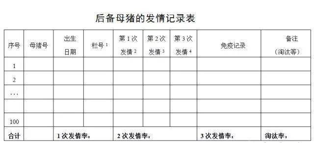 做好后备母猪发情记录究竟有多重要