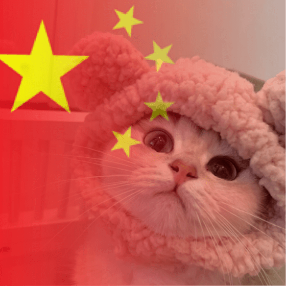 96e030eda3164f4395c59dd9b74a449c.png