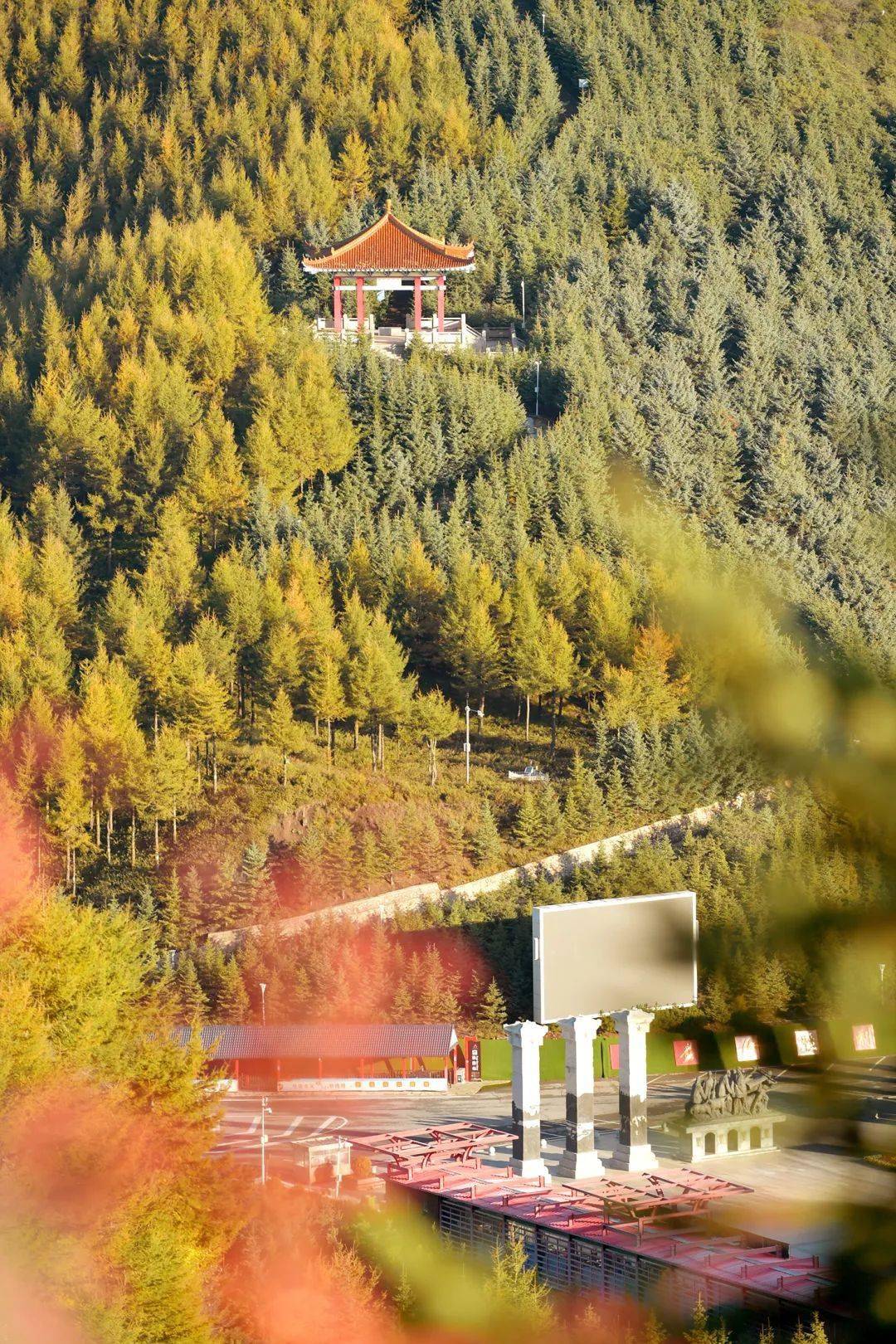 国庆假期带你遇见六盘山最美秋色