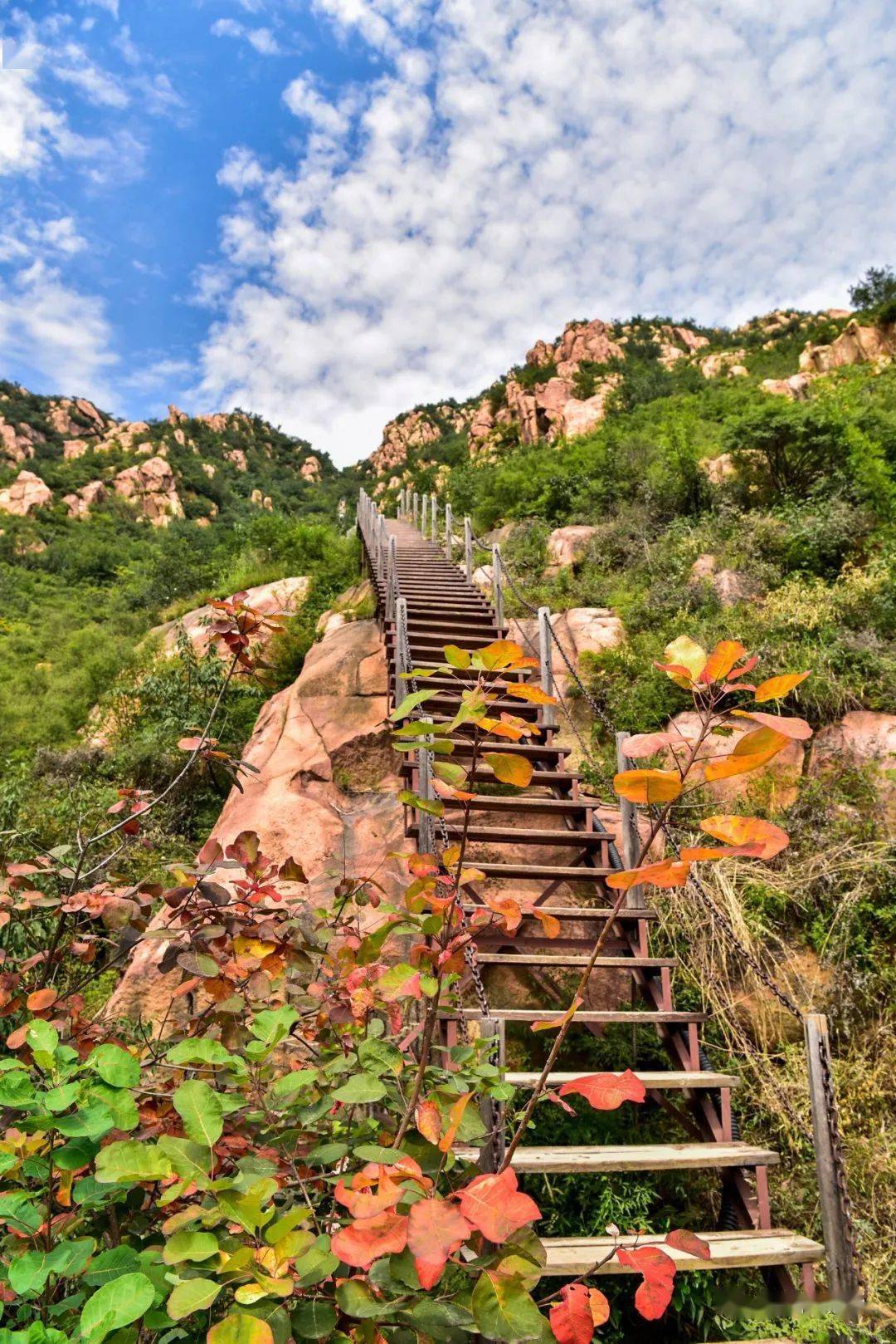 景美又好玩儿体验文化之旅就在昌平这个大花园
