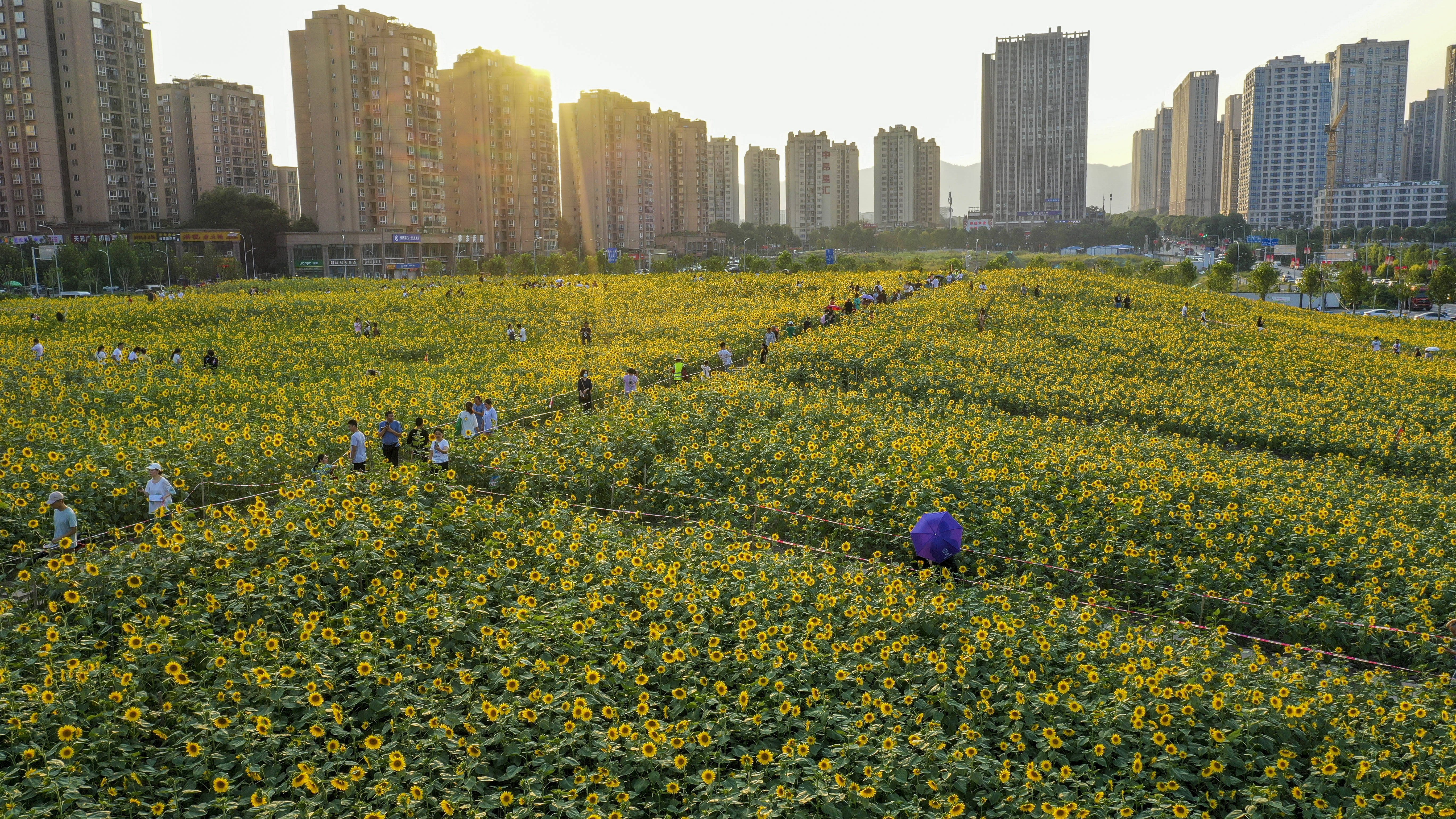 高岳街道|走到户外 乐享假期