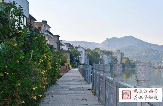 上饶报道:玉山双明镇:人居环境齐力绘 美丽乡镇入画来