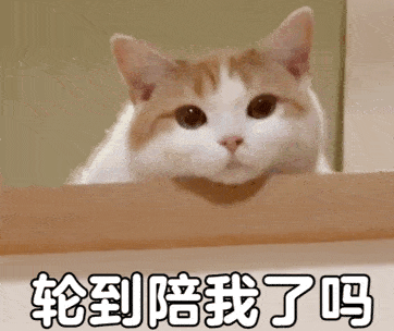 f1d4365ba0474fa4937698fbaffd9c5c.gif