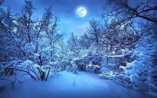 独自品尝青石板上依然有异乡的游客在银色的月光下即使到了子夜浸泡