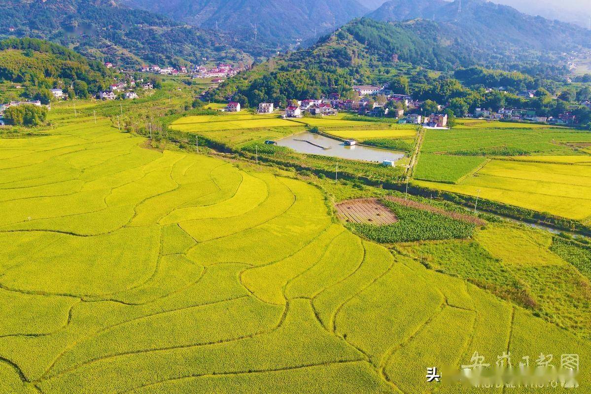 安徽岳西:秋日乡村入画来_吴均奇