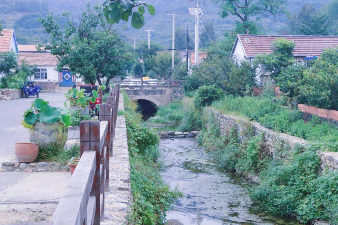 奇异果,精品民宿和健身步道,这"三宝"共同为董家楼村搭建起致富发展的