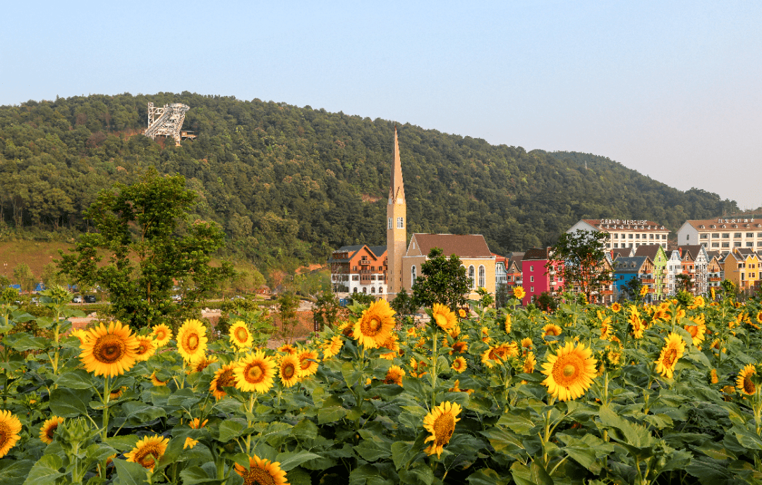 10月1日,江西"百县百日"文旅消费季安源分会场活动暨2021萍乡凯光新