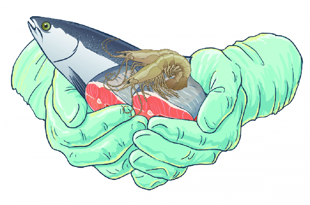 进口|防疫科普｜进口冷链食品如何安全食用？