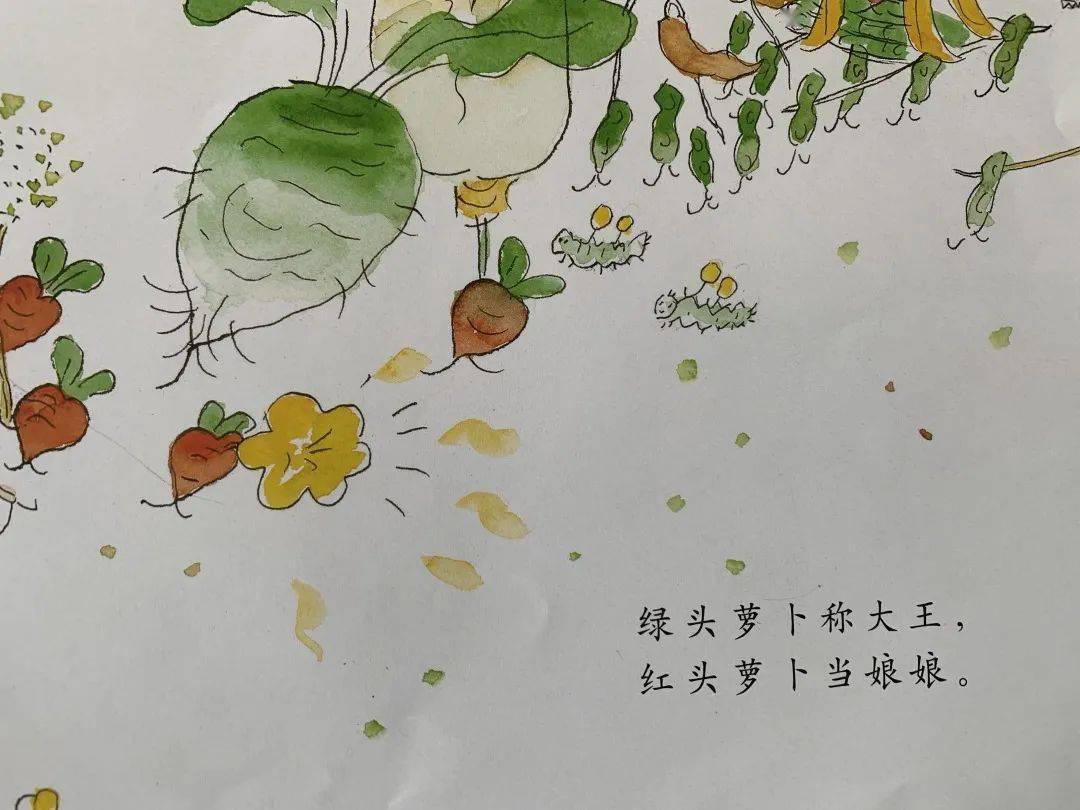 一起听书·少图在线 第595期 《一园青菜成了精》