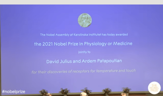 姚凯红|2021诺贝尔生理学或医学奖揭晓 两名科学家获奖