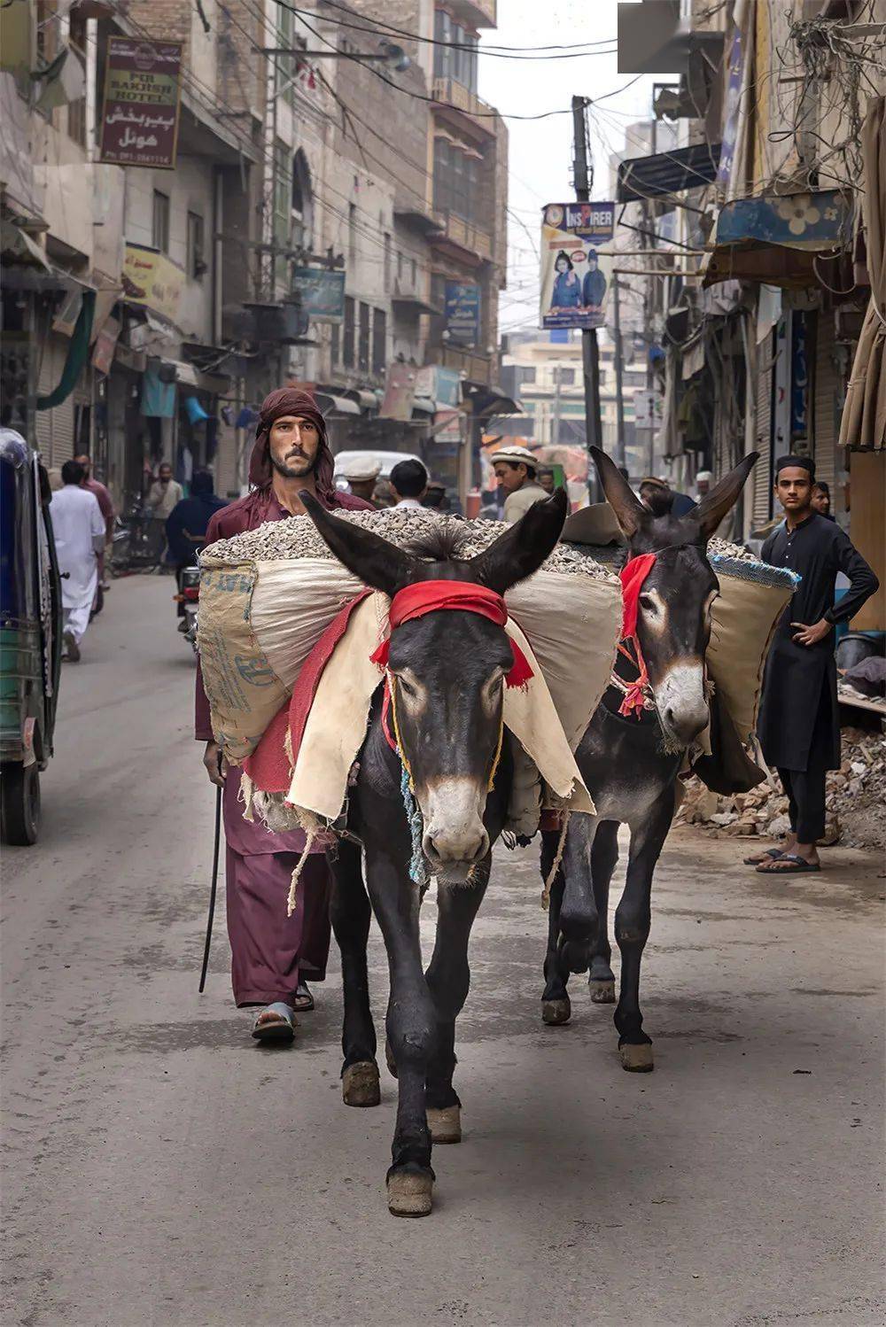 新闻纪实津门网杨怡鸣巴基斯坦之行