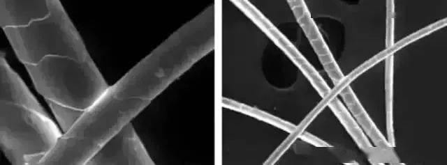 山羊 70 年前的“顶流女明星同款”，今年还很时髦？