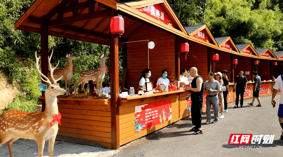 景区|双牌阳明山、桐子坳景区秋景、美食、歌舞盛宴 迎接八方游客