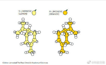 工具|诺贝尔化学奖解读：他们的巧妙工具，构建了分子