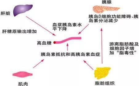 073b104969a941a584818ea8879ccc6d.jpeg