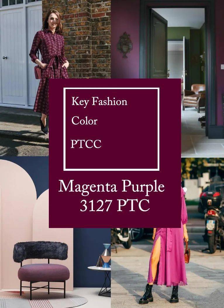 色调 复古优雅又贵气的「洋红紫」谁不爱呢