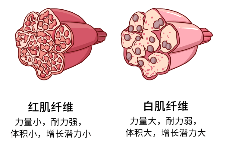 这3类人注意了_锻炼