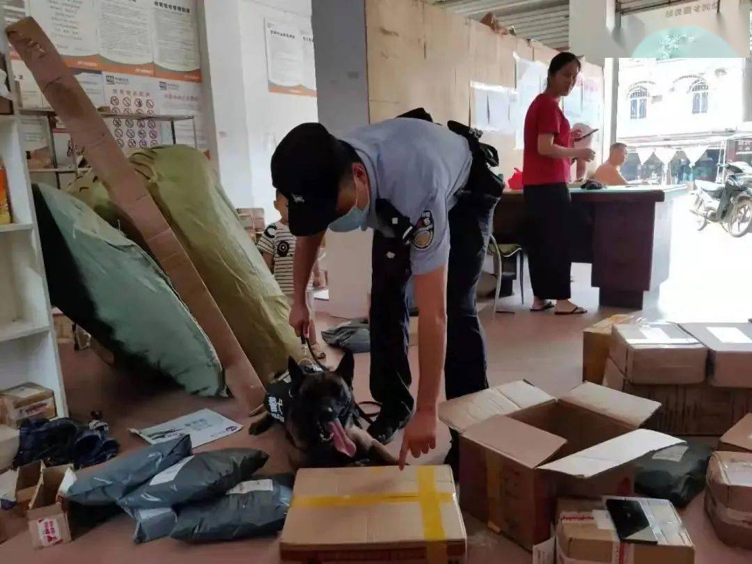 为国戍边他们一点也不含糊勐润边境派出所护边工作纪实